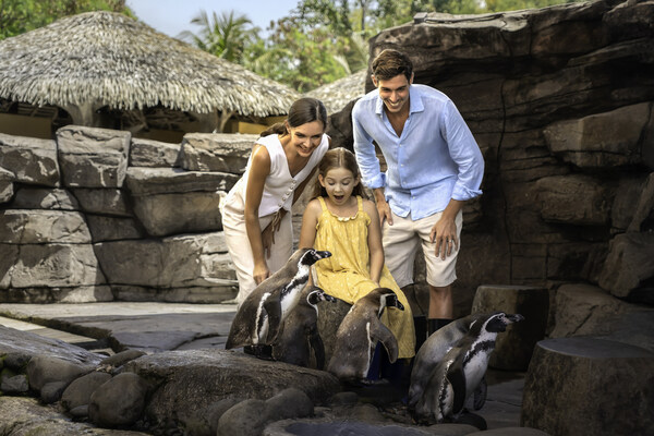 Bali Magical Adventure – Marine Safari Bali Brings a New Wave of Ocean Discovery to Southeast Asia